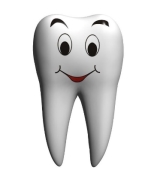 Статья о стоматологии: Ребенок сломал, вывихнул, ударил или расколол зуб.  Что делать?
